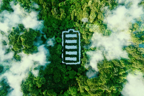 Arial view of forest with outline of battery in middle of image