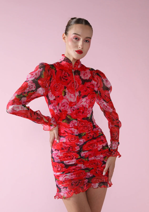 Sau Lee Scarlett Rose Print Silk Mini Dress – Izzy & Gab