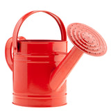A watering can works perfectly for your backyard bucket gem mining activity. 