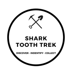 Excavating Adventures Shork Tooth Trek Dig Kit Filled With Fossilized Shark Teeth