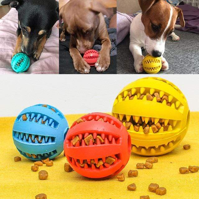 toothy dog ball