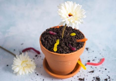 recetas con galletas oreo fáciles para niños