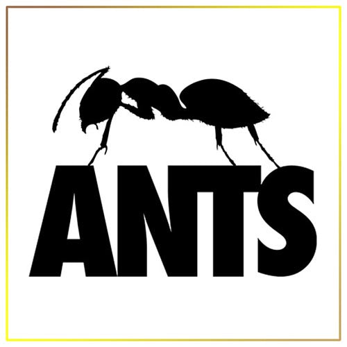 Ants Ibiza