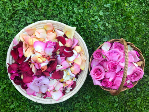 Spring Confetti Petals Ireland