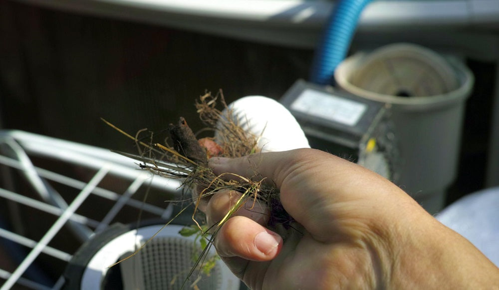 A hand removing dirt out of a clogged disassembled pool filter