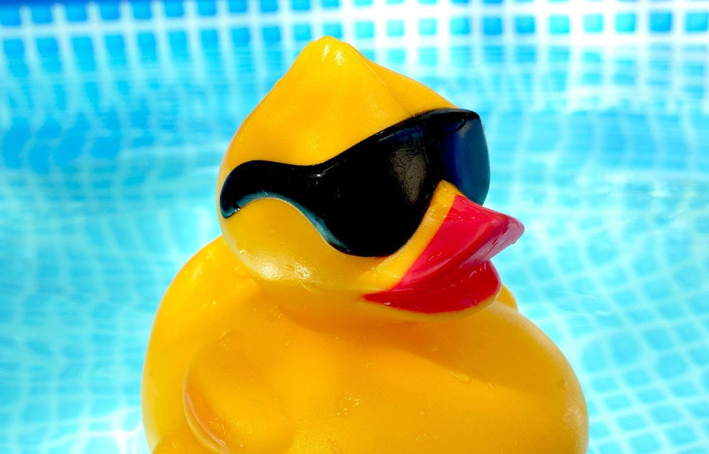 rubber duck above ground swimming pool