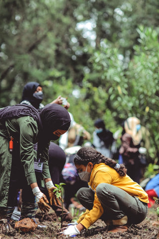 Wir setzen uns für eine nachhaltigere Zukunft ein. Unsere Beiträge wirken sich auf die Anpflanzung von Mangrovenbäumen in Madagaskar aus. Diese Wiederaufforstungsbemühungen werden nicht nur natürliche Lebensräume wiederherstellen, sondern auch die Gesundheit der Korallenriffe verbessern, den Lebensunterhalt vor Ort sichern und durch die Extraktion von CO2 aus der Luft im Kampf gegen den Klimawandel helfen.