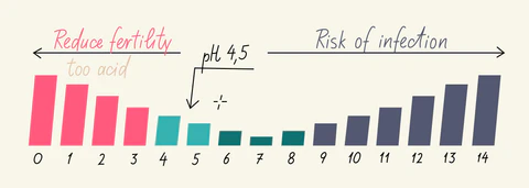 vaginal pH scale and what it means for your vaginal health