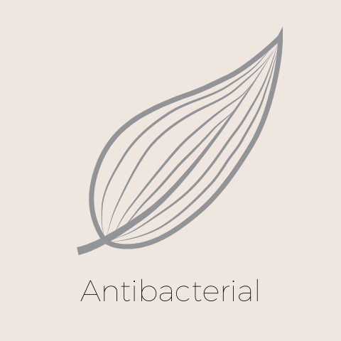 Natural antibacterial properties
