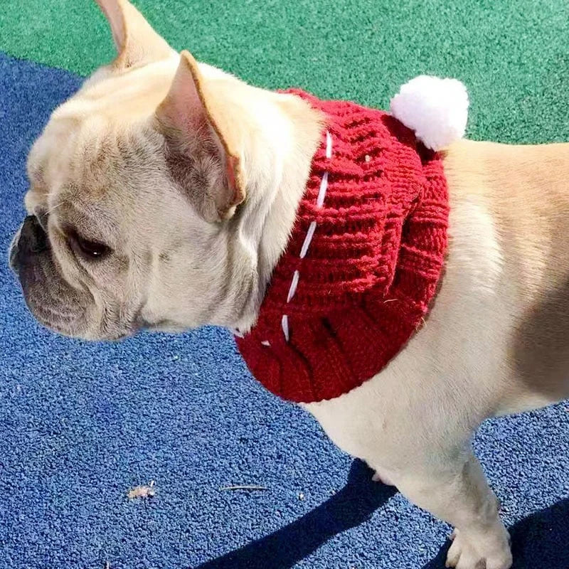 Winter Wollmütze für Hund