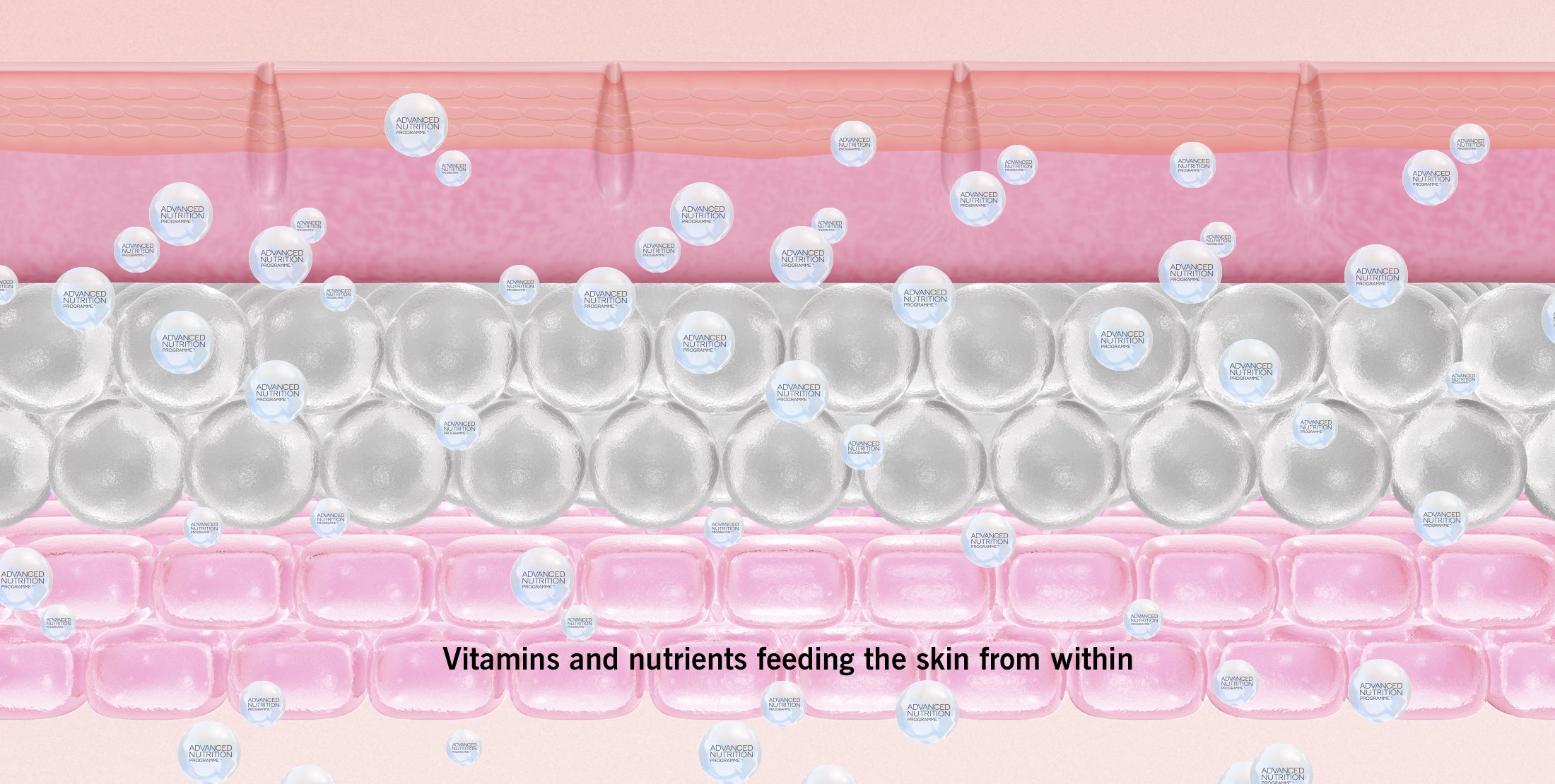 Vitamins and minerals feeding the skin from within