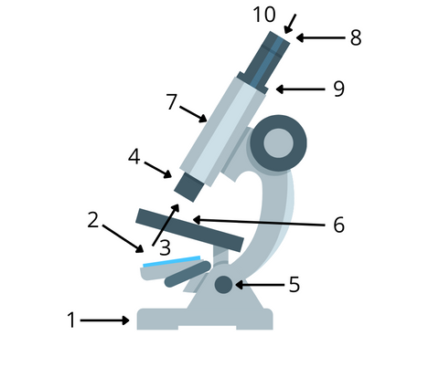 Parts of a microscope