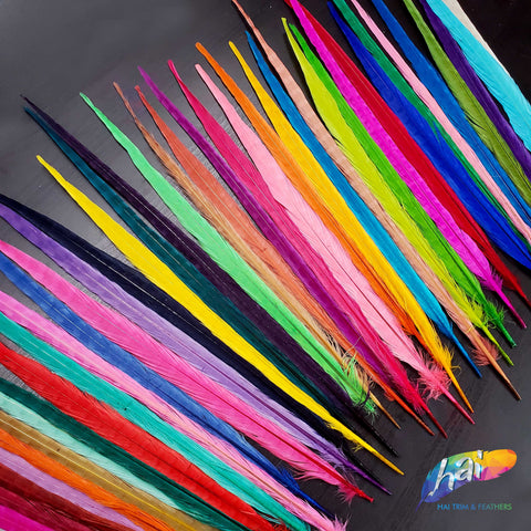 Dyed Dark Aqua Ringneck Pheasant Tails  Buy 20-24 Inches 5 Pieces Feather  Pack – Zucker Feather Products, Inc.