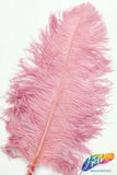 18-23" Ostrich Plumes