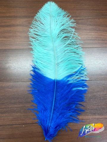 20 - 22 Ostrich Feather ― item# 33719