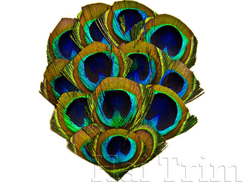  Samariya Pack of 1 Natural Peacock Feather Fan/Mor