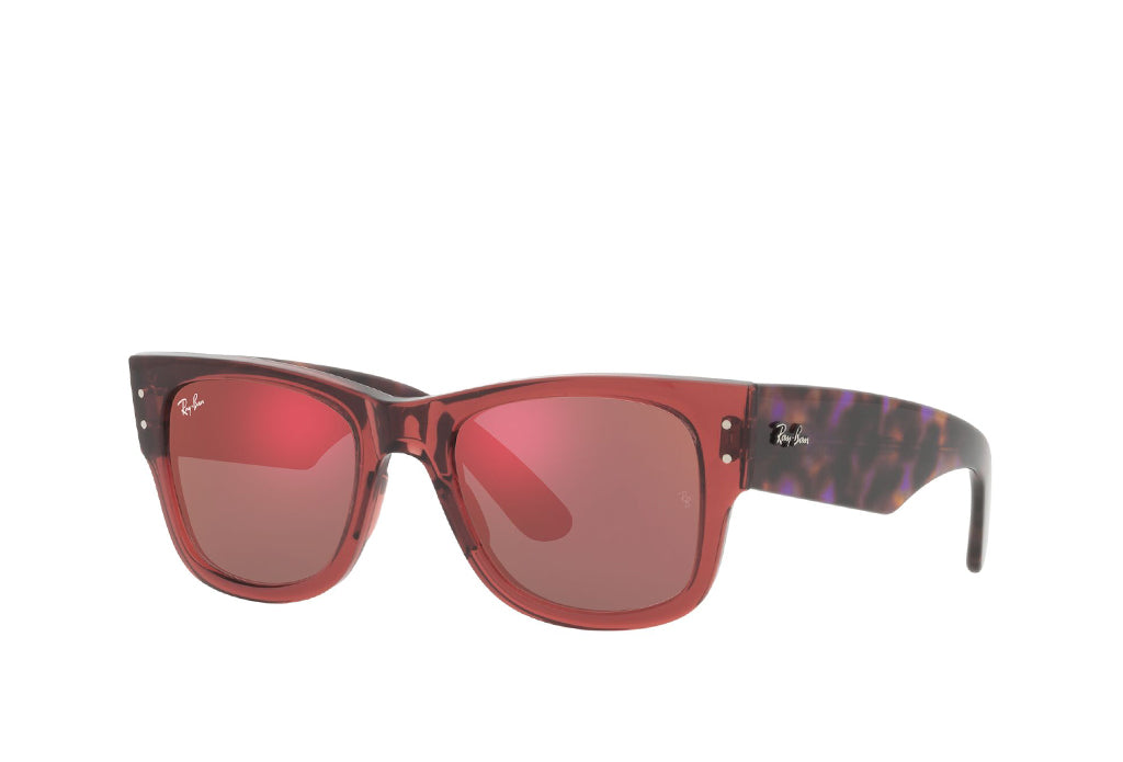 Ray-Ban 0840S Sunglass – Himalaya Optical