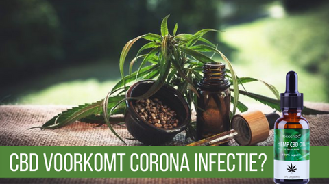 cbd olie tegen corona infectie?!