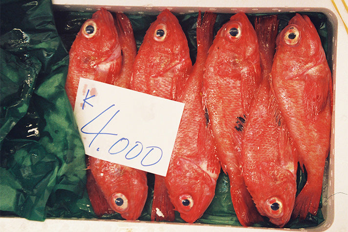 Fish on display at a Japanese fish market which could contain microplastics in the future