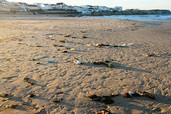 litter on the beach