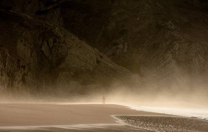 Beautiful wind swept beachscape