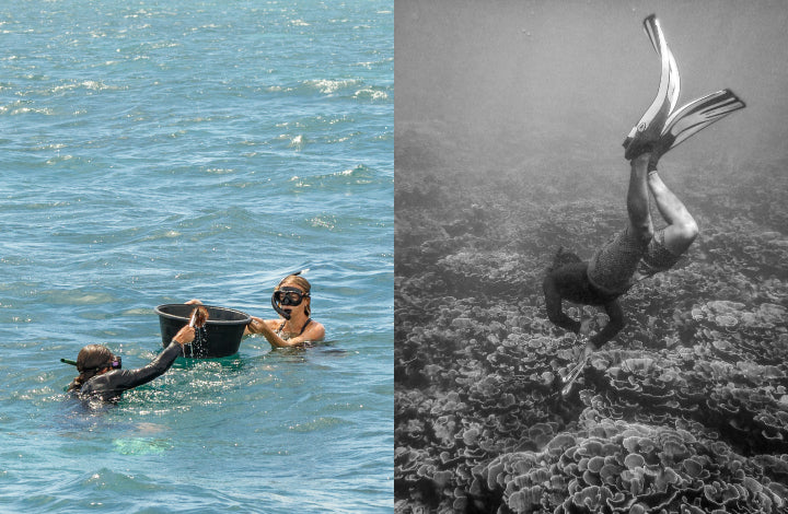 Lee snorkelling for sea urchins in a protected coral garden