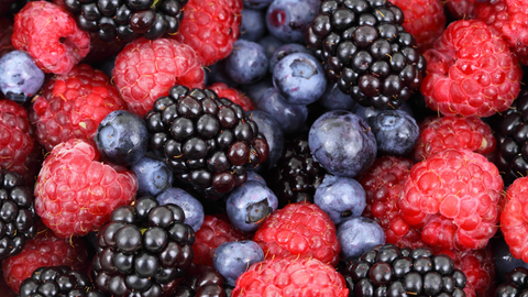 berries whole harvest blog