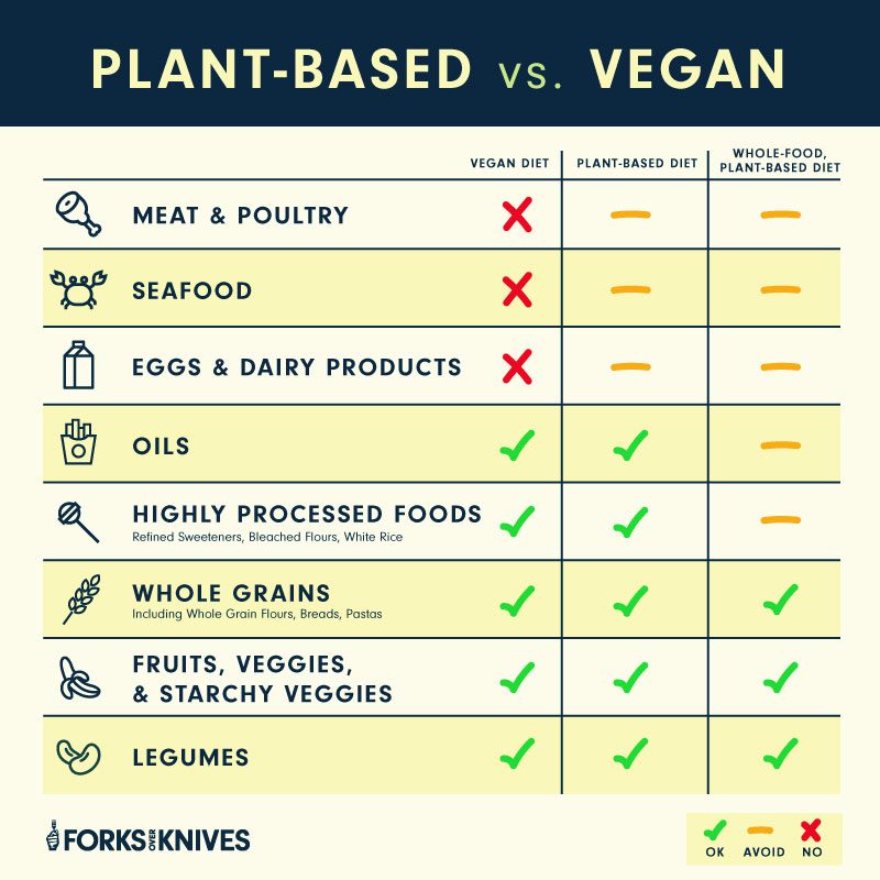 Difference between vegan vs plant-based diet