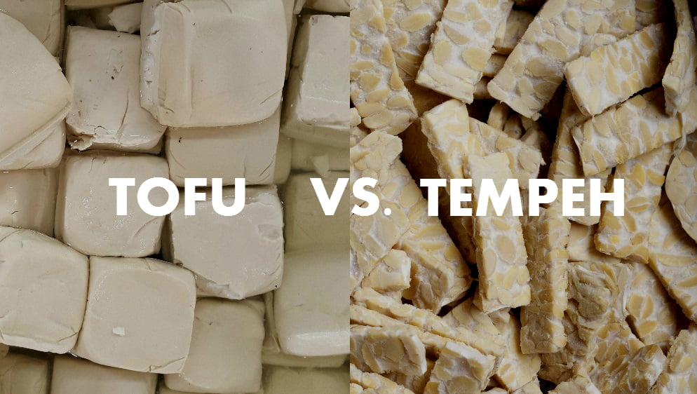 Tofu and Tempeh