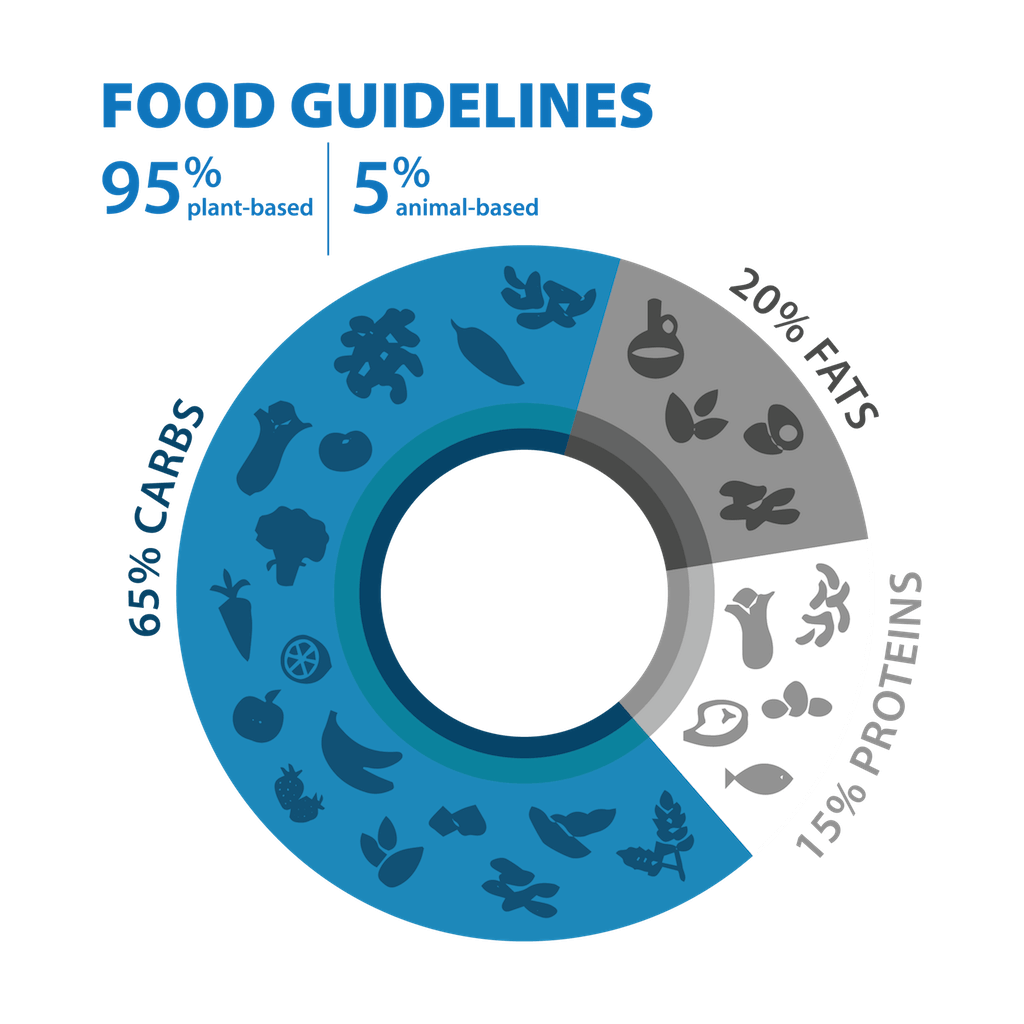 Blue Zone Food Guidelines