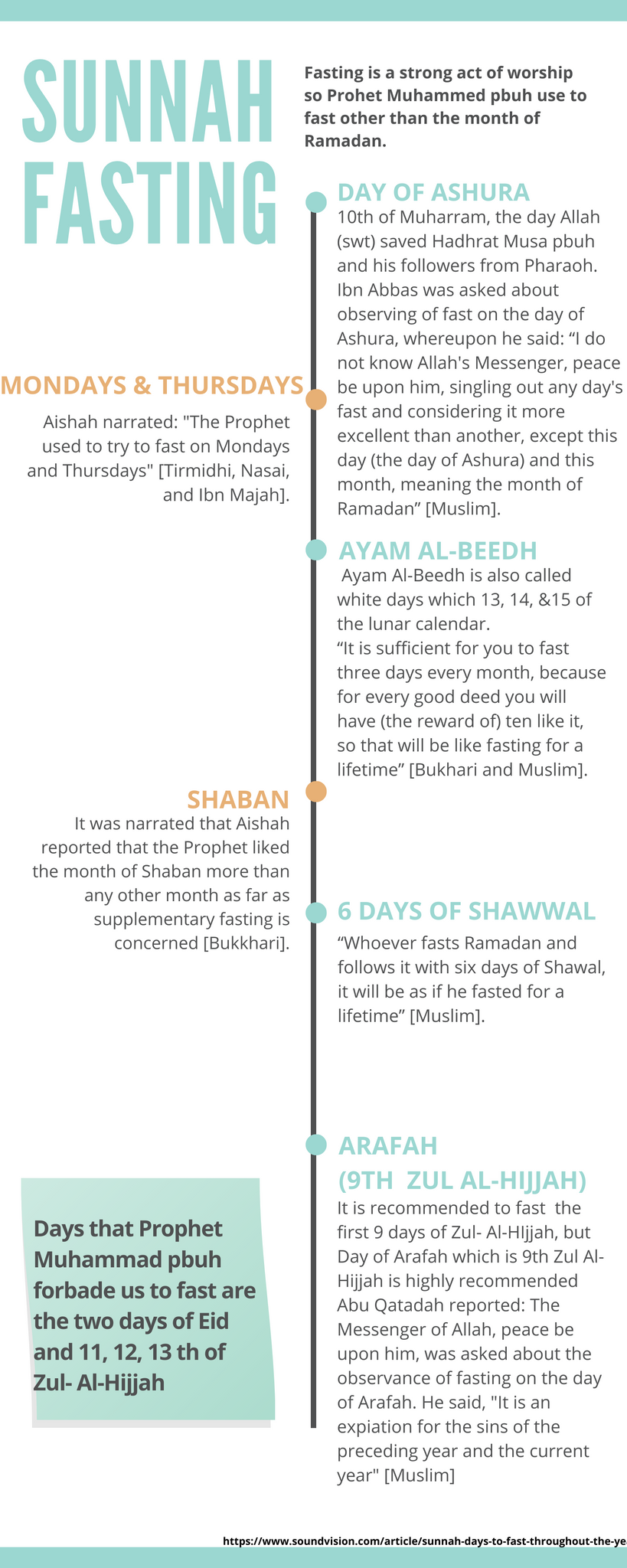 Infographic: Where do your Ramadan dates come from?, Infographic News