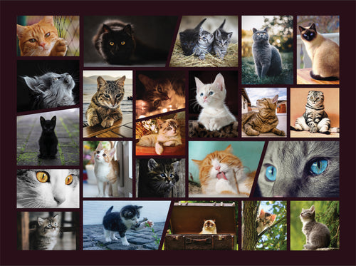 The Chorus Jigsaw Puzzles, 500 Piece, 1000 Piece, Cat Puzzle, Meowing,  Meow, Cats, Kitties, Cat Lover, Friendly Noodles 