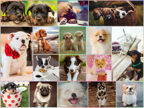 Puppy Love Puzzle