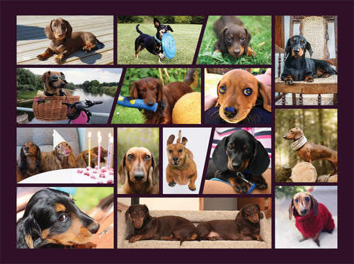  Better Me Dog Lovers Puppy Puzzle Collage - Puppy Pals