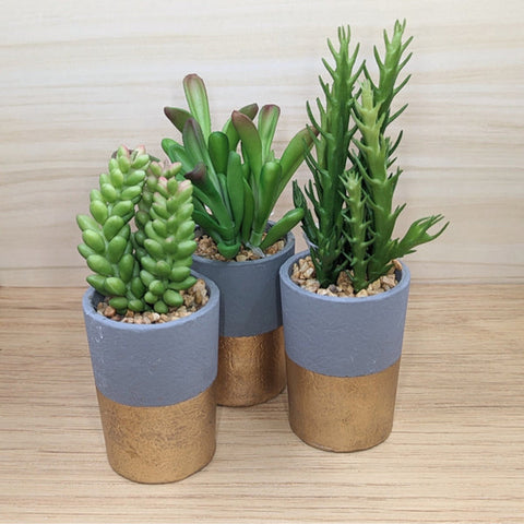 artificial succulent plant