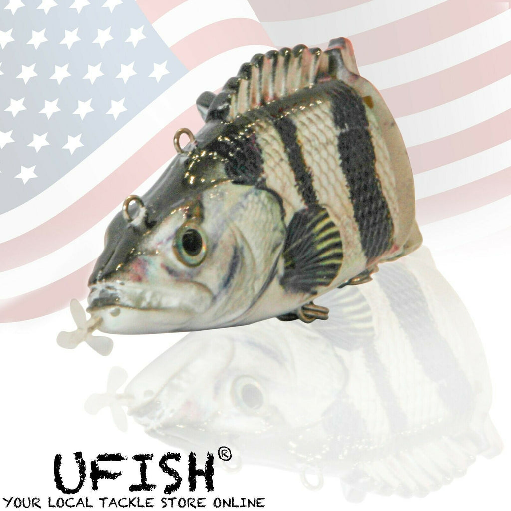 ufish camp washington