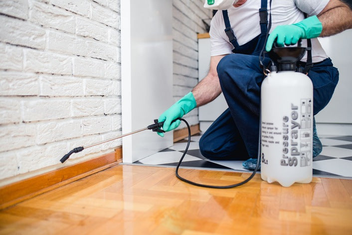 pest control aurora colorado