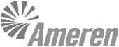 Ameren Logo