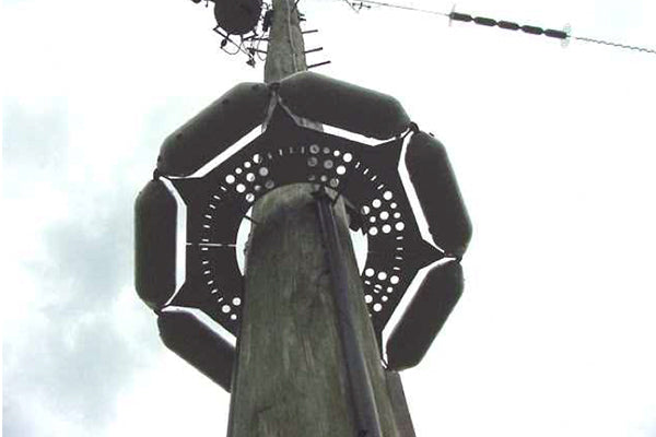 pole guard shown on power utility pole