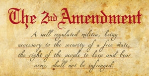 The 2nd Amendment