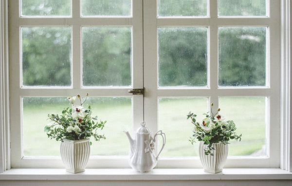 plants on window sill