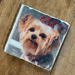 dog-coaster-stone