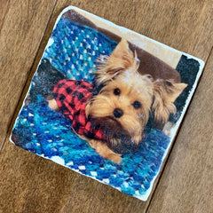 dog-coaster-stone