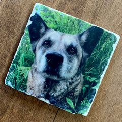 dog-coaster-stone