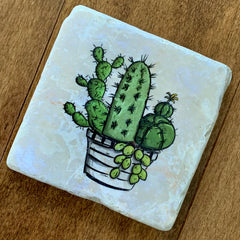 Succulent-coaster-stone