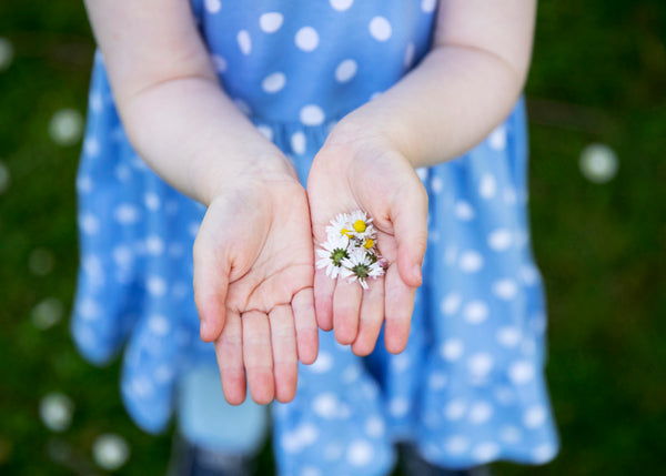 A young girl holding out her hands holding daisies