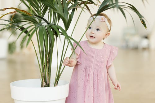 A toddler girl wears a pink dress and peeks out from behind a houseplant