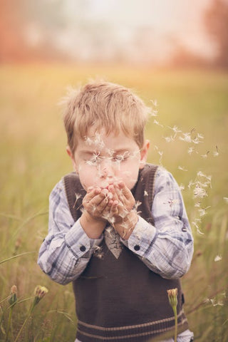 A boy blows a dandelion in a field