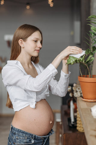 Young pregnant woman tending to a houseplant