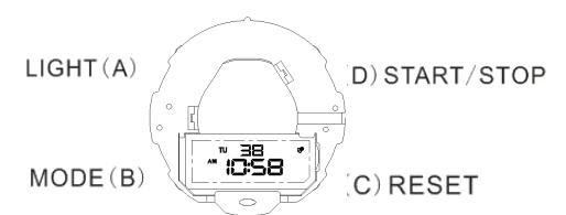 6 Digi General Model Watch Dial Plate